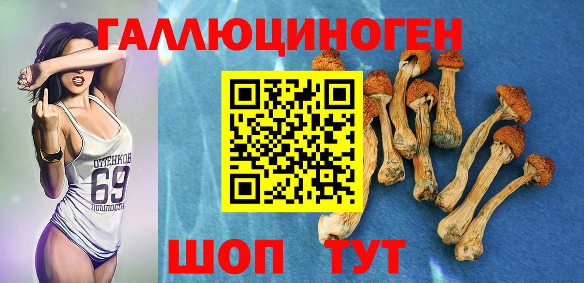 Галлюциногенные грибы MAGIC MUSHROOMS  Галлюциногенные грибы Psilocybine cubensis  Вход с VPN  Сафоново 